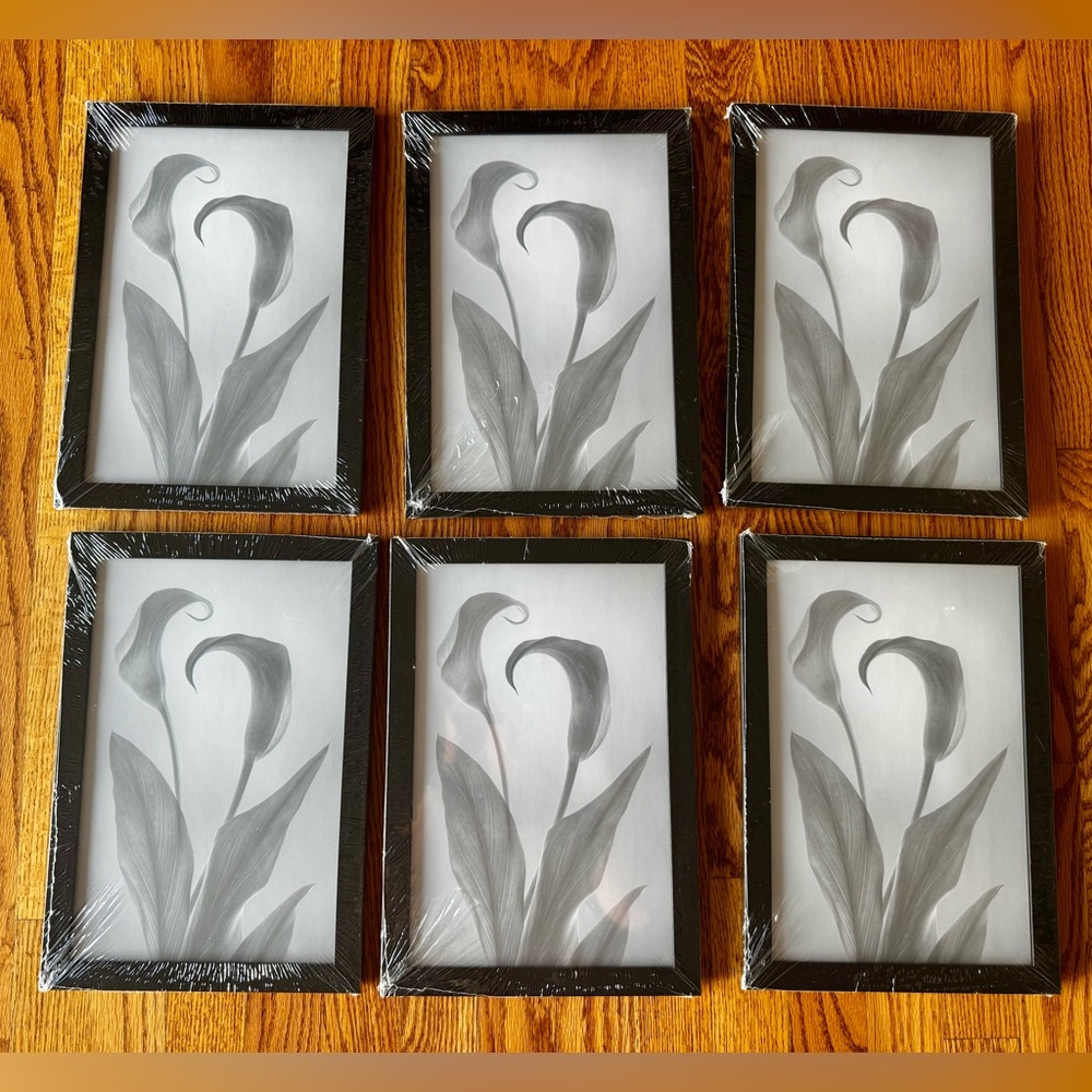 6 New 8x10 Gallery Wall Picture Frame Set in Black Composite Wood w/Plexiglass
